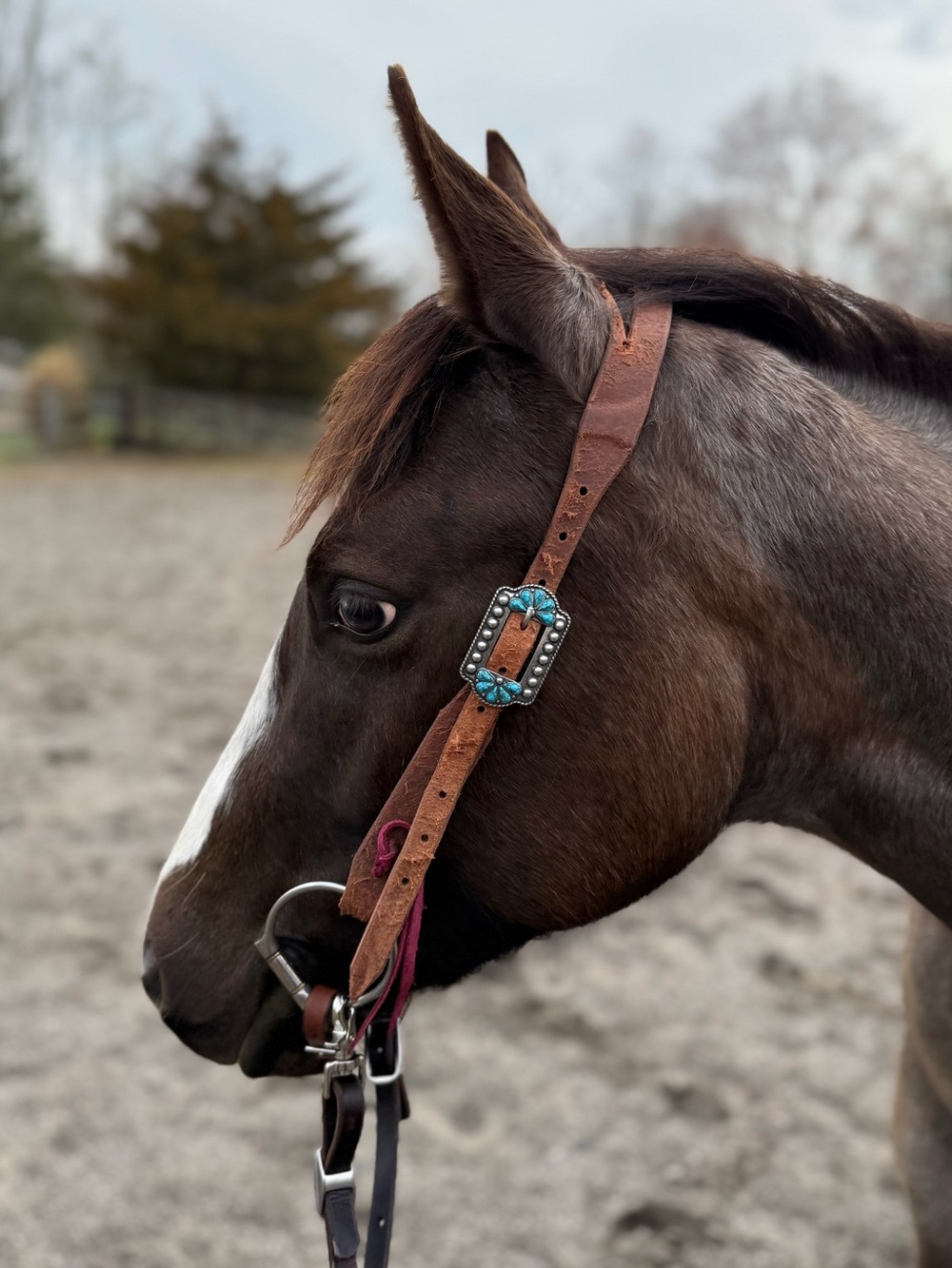 Split Ear Headstall